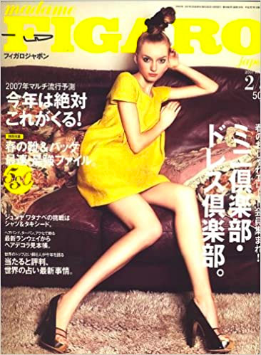 madame FIGARO japon (フィガロ ジャポン) 2007年 2/5号 [雑誌]